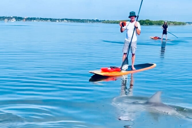 Dolphin and Manatee Adventure Tour of Cocoa Beach
