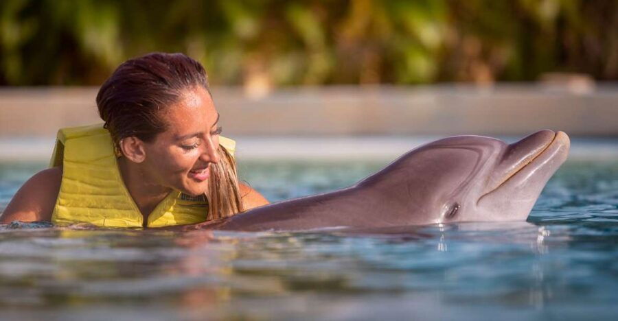 Dolphin Connection Riviera Maya: Dolphin Connection - Good To Know