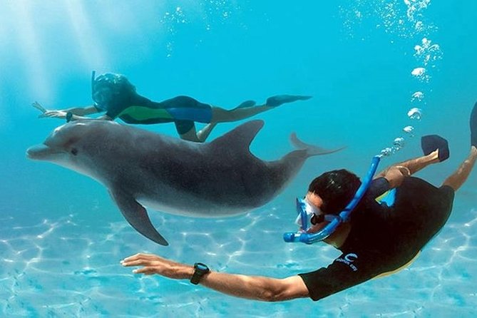 Dolphin House Sea Trip Snorkeling Water Sports and Lunch-Hurghada