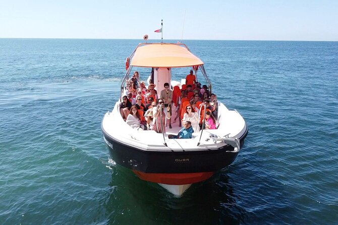 Dolphin Safari and Cave Tour From Vilamoura - Good To Know