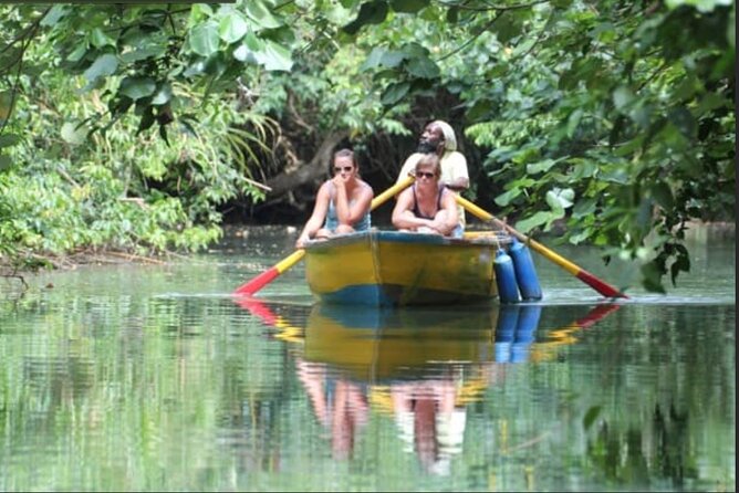 Dominica Indian River Discovery (Includes Lunch) - Good To Know
