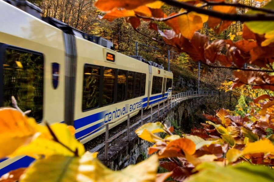Domodossola: Centovalli Train & Valle Vigezzo Museums Ticket
