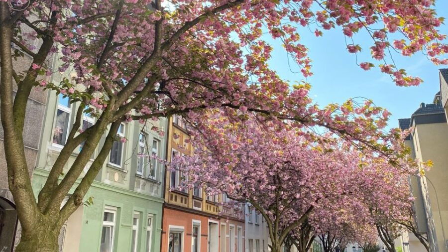 Dortmund: Street-Art and Foodie Self-Guided Walking Tour