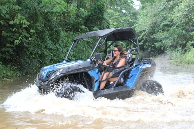 Double Buggy From Samaná - Good To Know
