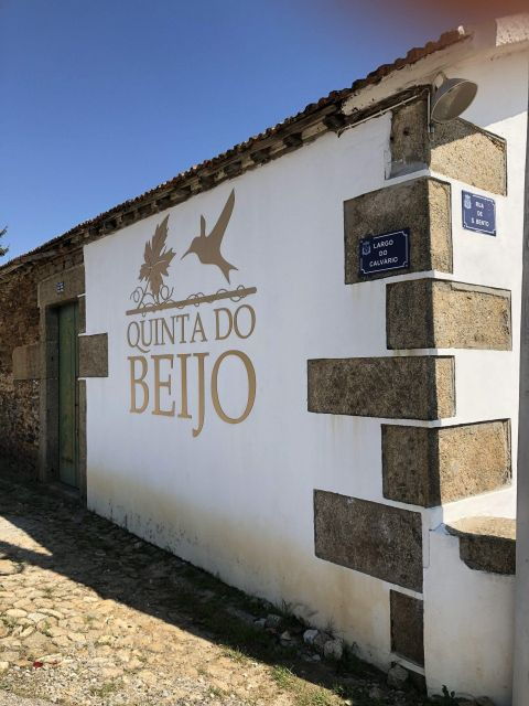 Douro: Classic Wine Tasting With Guided Tour - Good To Know