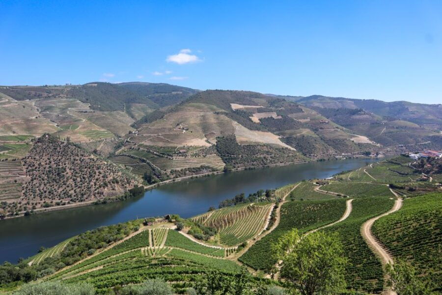 Douro Valley: Douro Valley Tour Including 3 Wineries - Good To Know