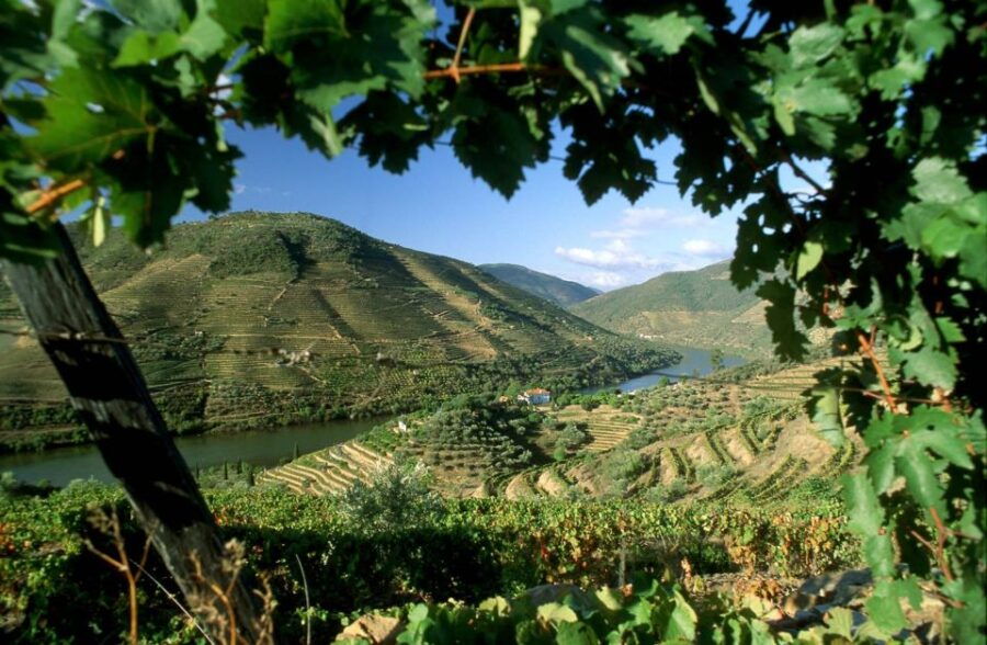 Douro Valley: Full-Day Private Tour From Porto - Good To Know