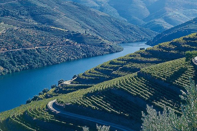Douro Valley Full Day - Good To Know