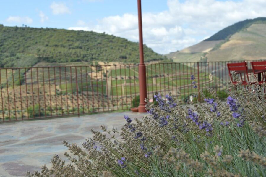 Douro Valley Private Tour From Braga: Lunch & Wine Tour - Good To Know