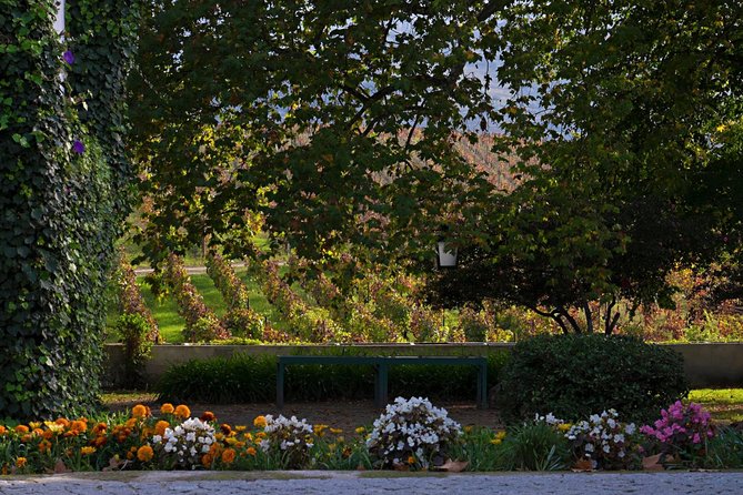 Douro Valley Private Tour: River Cruise, Lunch and Wine Tasting in a Vineyard - Good To Know