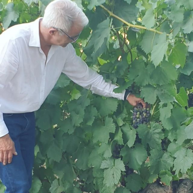 Douro Valley Tour Wines and Breathtaking Views - Good To Know