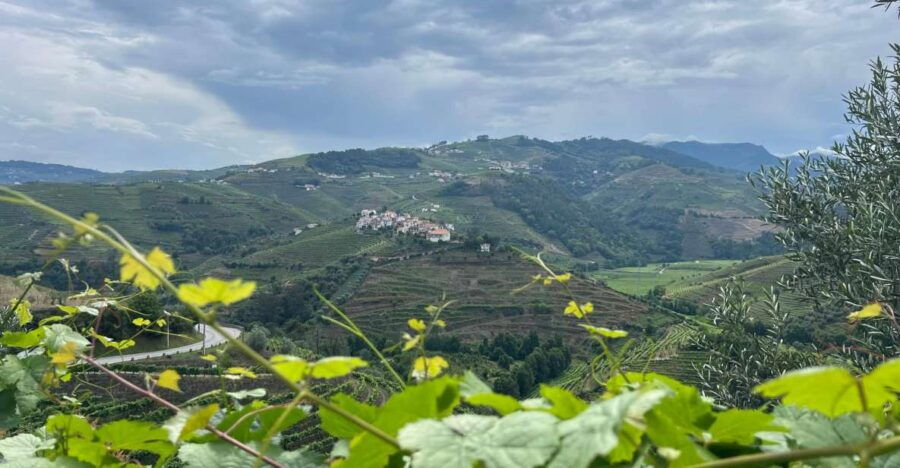 Douro Valley Tour