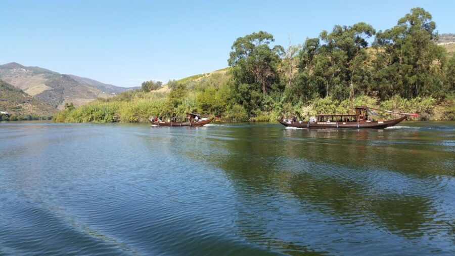 Douro Valley Wine Tasting From Porto - Good To Know