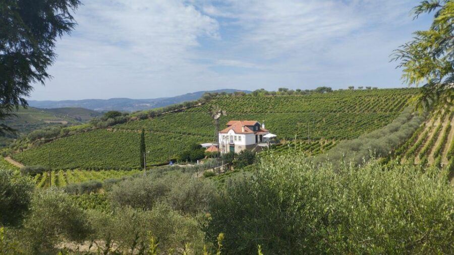 Douro & Vinho Verde Private Tour