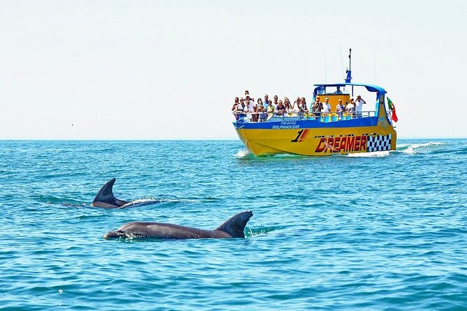 Dreamer Cave and Dolphins Boat Tour From Albufeira