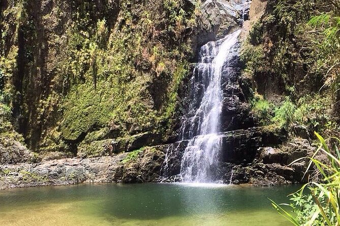 Dreams Flora Resort - Round Trip Shuttle - Punta Cana Airport - Good To Know