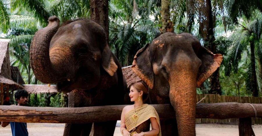 Dress in Thai Costume, Feed Elephants, and Photoshoot