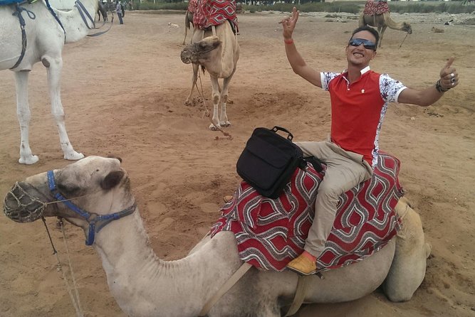 Dromedary Safari: 2 Hours