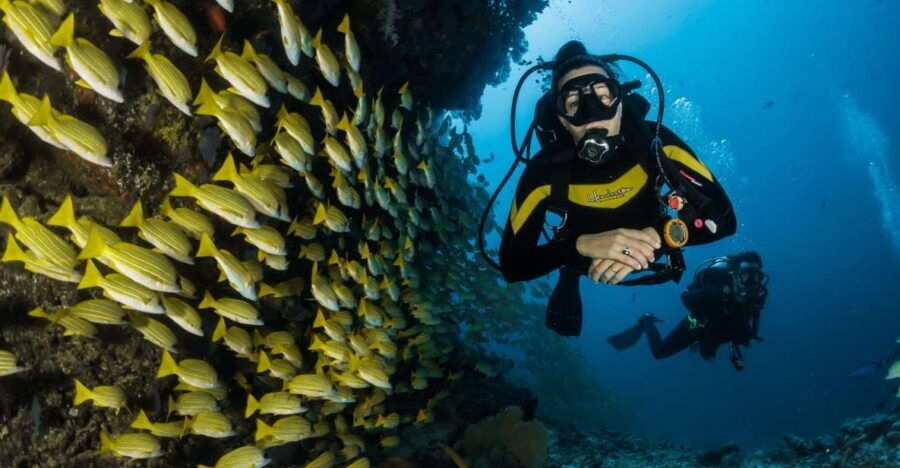 DSD Discover Scuba Diving for a Beginner Orcertified - Good To Know