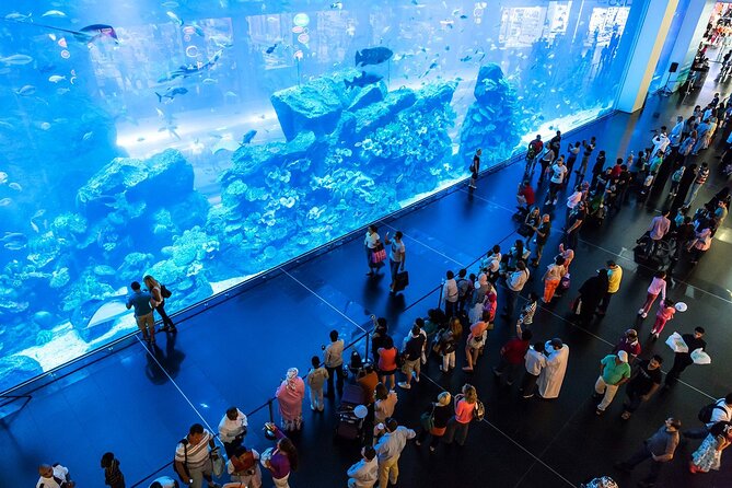 Dubai Aquarium and Underwater Zoo Admission Ticket