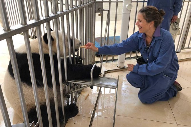 Dujiangyan Panda Base Volunteer Tour