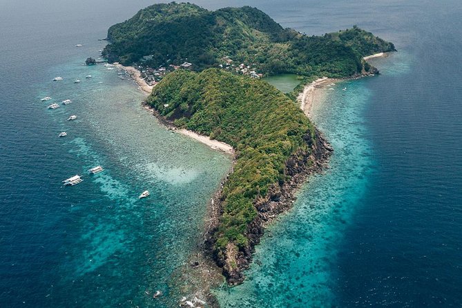Dumaguete Apo Island Snorkeling Tour
