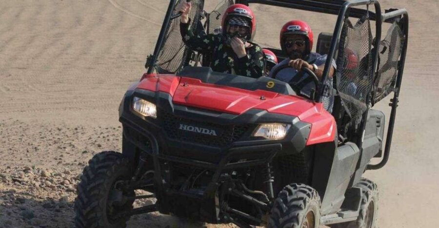 Dune Buggy Desert Safari From Sharm El Sheikh - Experience Highlights
