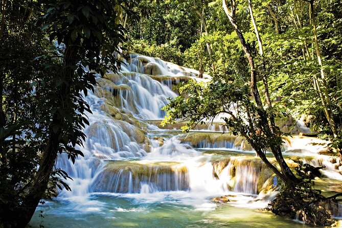Dunns River Falls and Blue Hole Tour From Montego Bay - Good To Know