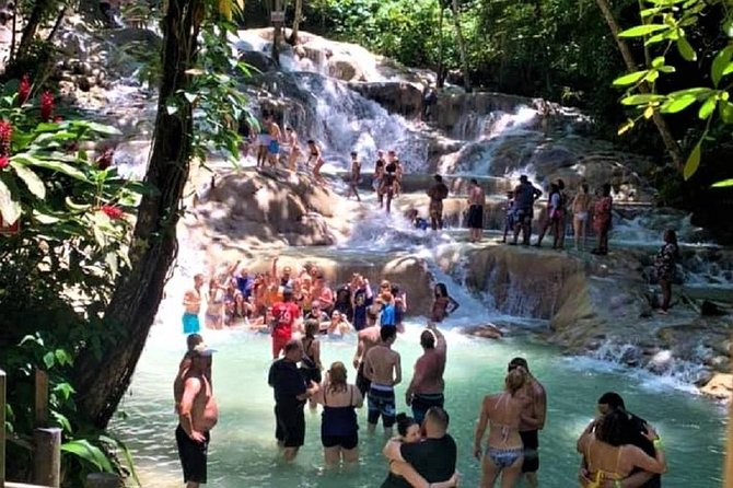 Dunns River Falls and Fern Gully Adventure Tour From Montego Bay