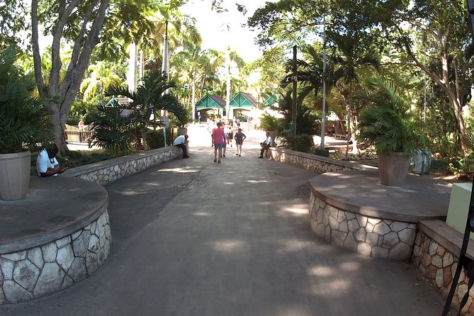 Dunns River Falls and Luminous Lagoon Guided Group Tour - Montego Bay