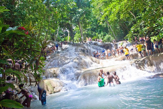 Dunns River Falls and Park Private Tour
