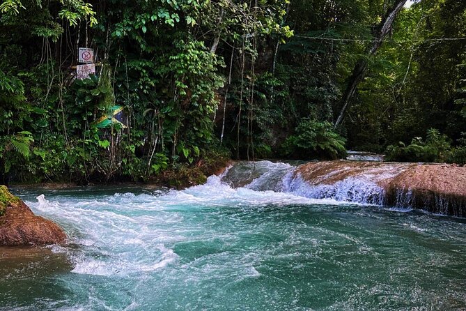 Dunns River Falls & Blue Hole Private COMBO Tour From Montego Bay - Tour Highlights