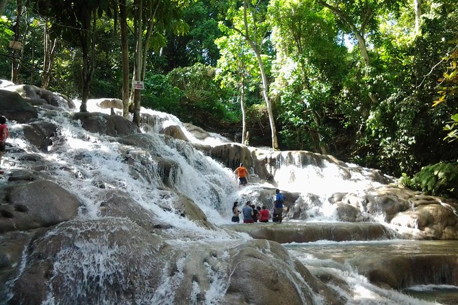 Dunns River Falls Excursion From Montego Bay - Good To Know