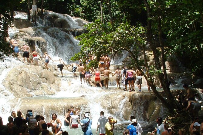 Dunns River Falls Private Tour ** {Entry Tickets Included }**