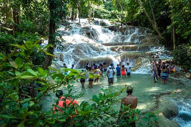 Dunns River Falls Tour From Montego Bay Hotels - Good To Know
