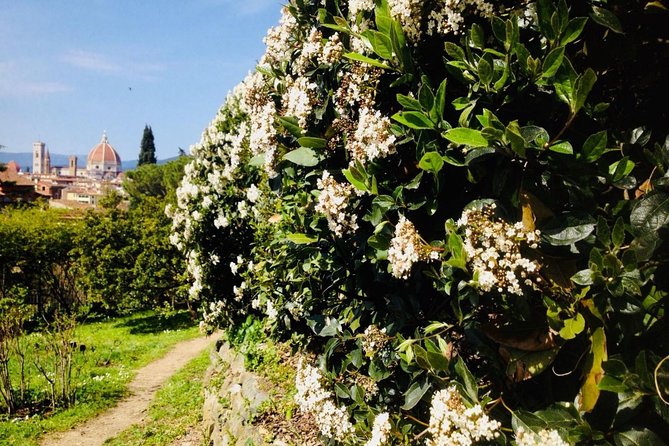 Duomo Complex Italian Guided Tour With Cupola Entry Tickets - Good To Know