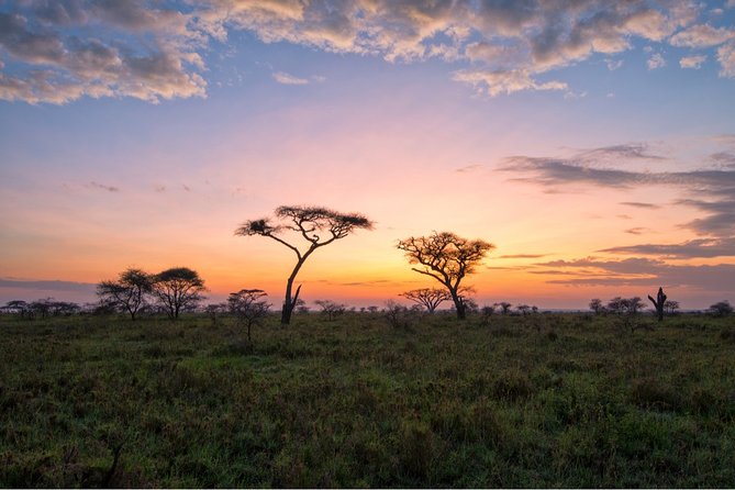 Durban: Hluhluwe Big 5 Budget Safari — Pro Zeiss Binoculars & Safari Guide Books - Good To Know