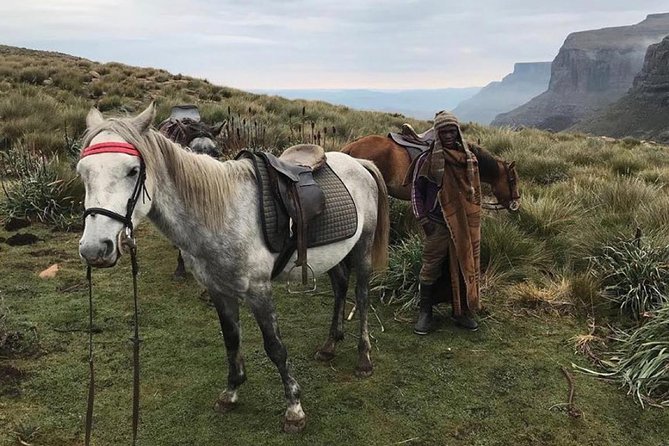 Durban: Journey Along the Epic Sani Pass & Lesotho Tour