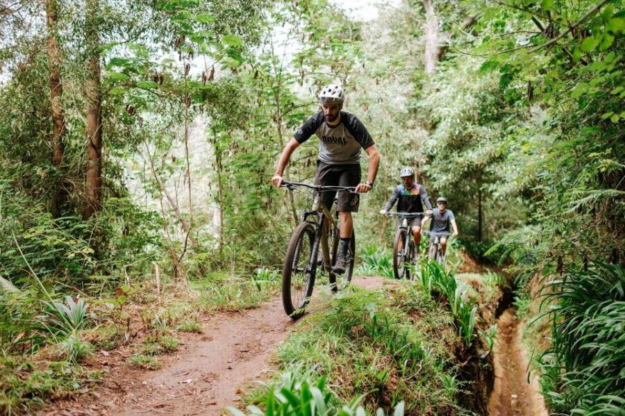 E-Bike Guided Tour - Mountain Biking Experience