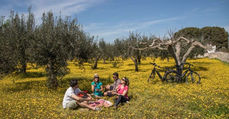E-Bike Ring Tour Between Locorotondo and Martina Franca