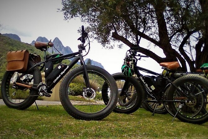 E-Bike Stellenbosch Countryside Tour, Banhoek Valley (Half Day) - Tour Highlights