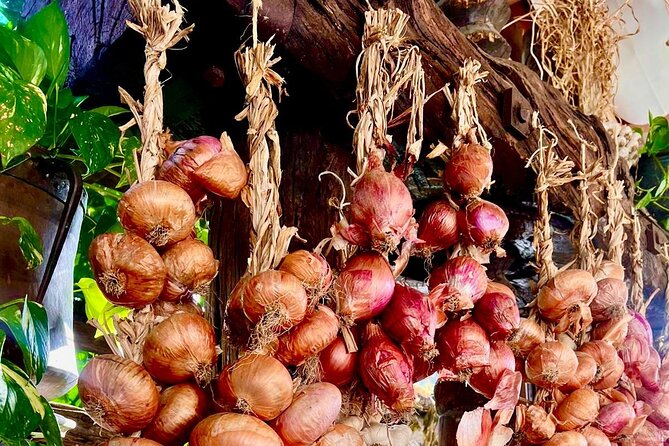 E-Bike Tour and Cooking Class in the Sorrento Peninsula - Good To Know