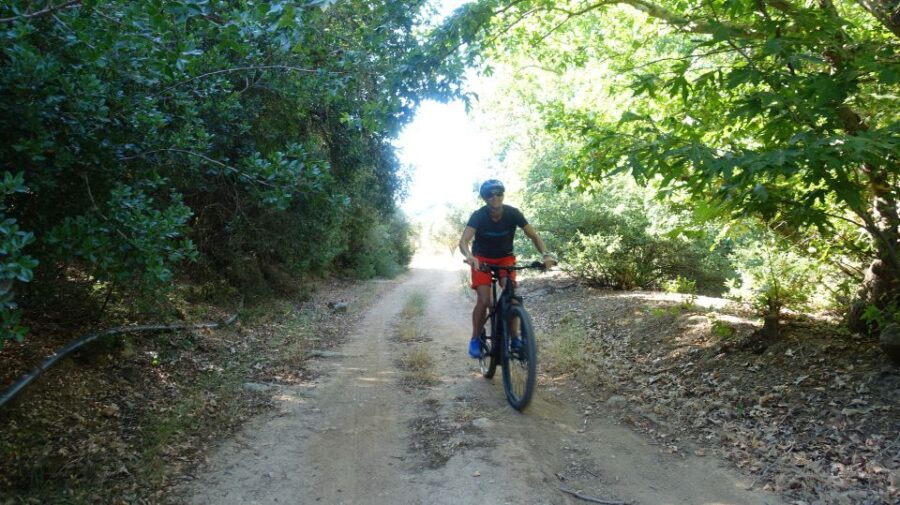 E-Bike Tour in the Cretan Nature With Traditional Brunch - Good To Know
