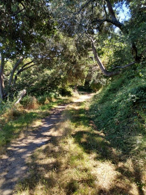 E-Bike Tours on Scenic Trails Around/Beyond San Francisco - Good To Know