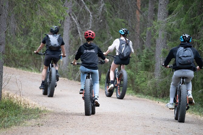 E-Fatbike Tour From Rovaniemi - Good To Know