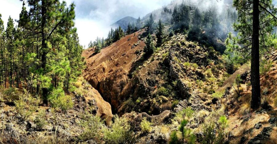 Easy Dry Canyoning in Tenerife