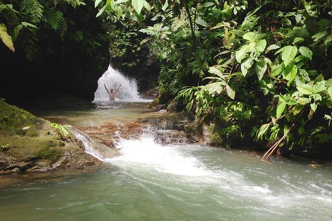4 Best Safari Tours In Quepos