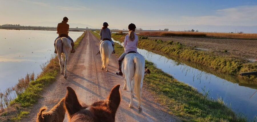 Ebro Delta National Park: Guided Horseback Riding Tour