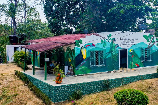 Eco Adventure and Volunteering at the Parrot Sanctuary in Bolivar - Good To Know