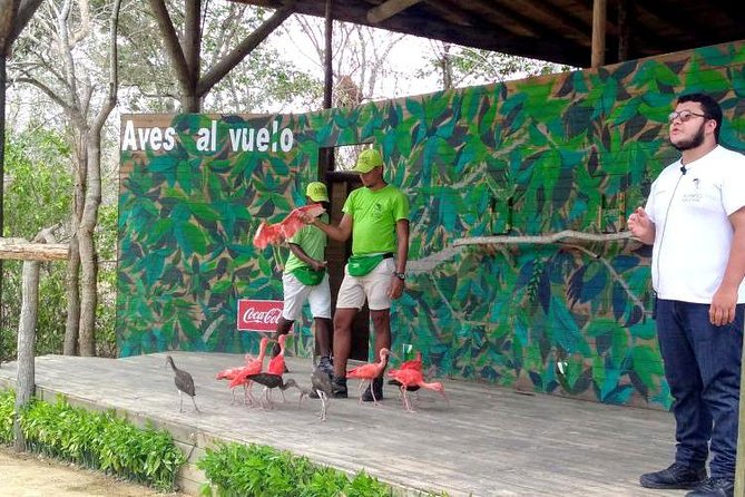 Eco Plan National Aviary and Lunch in Playa Mambo Beach Barú - Good To Know